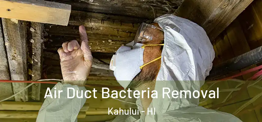  Air Duct Bacteria Removal Kahului - HI
