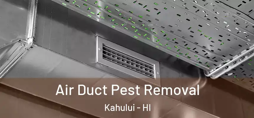 Air Duct Pest Removal Kahului - HI