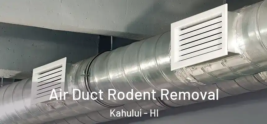 Air Duct Rodent Removal Kahului - HI