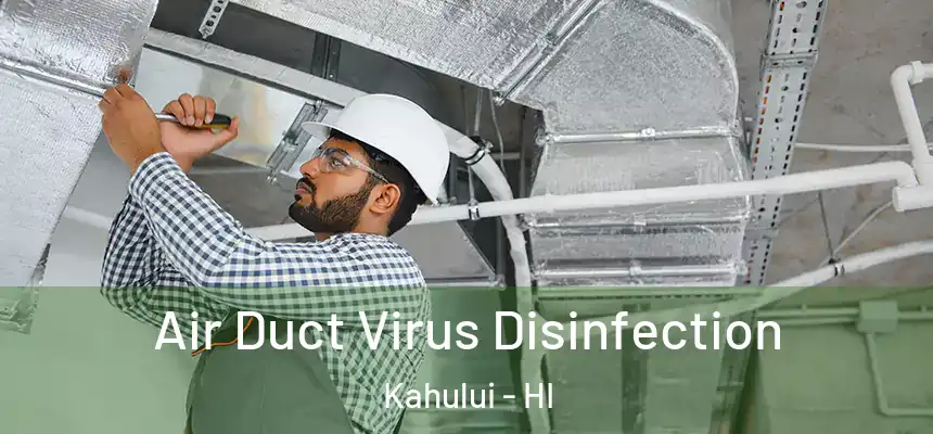 Air Duct Virus Disinfection Kahului - HI