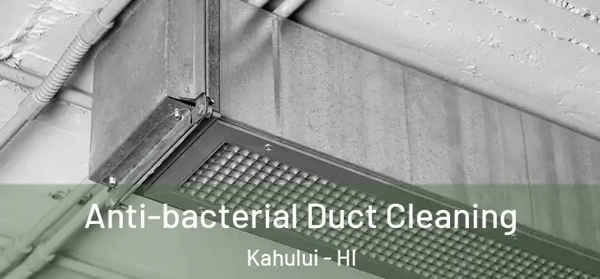 Anti-bacterial Duct Cleaning Kahului - HI