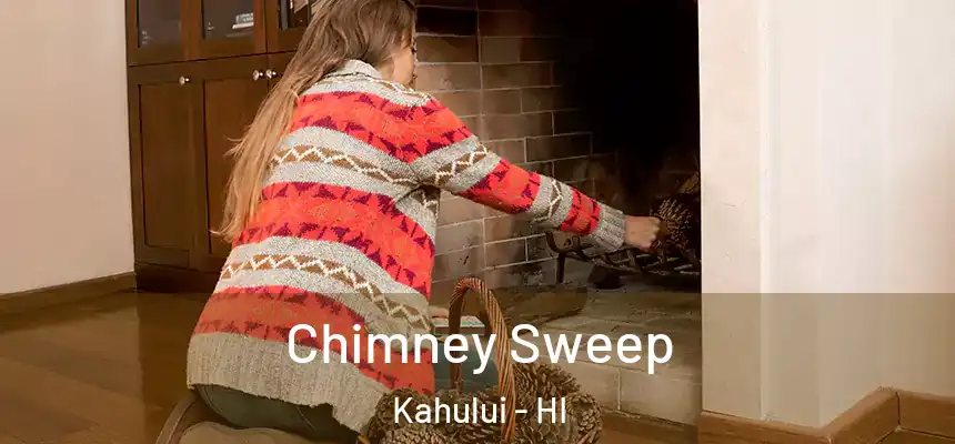 Chimney Sweep Kahului - HI