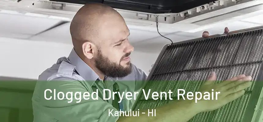 Clogged Dryer Vent Repair Kahului - HI