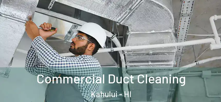 Commercial Duct Cleaning Kahului - HI