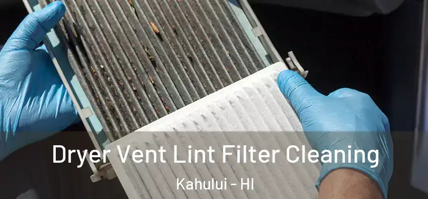 Dryer Vent Lint Filter Cleaning Kahului - HI