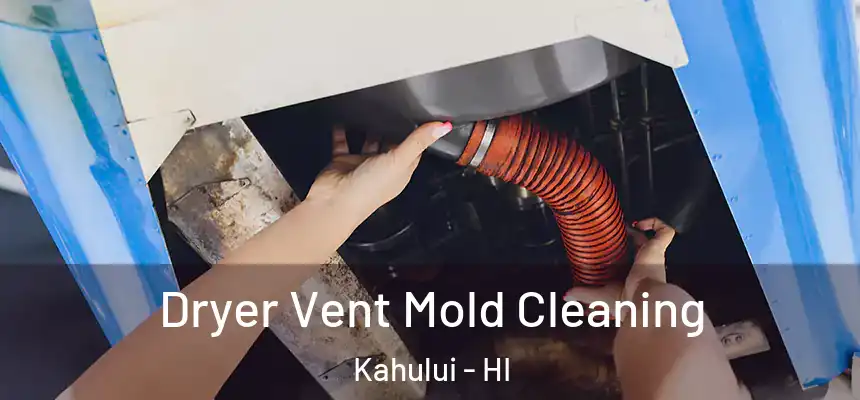 Dryer Vent Mold Cleaning Kahului - HI