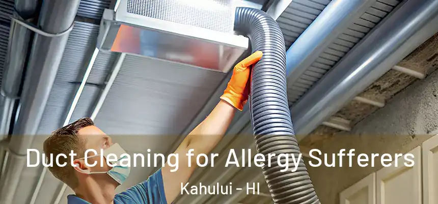 Duct Cleaning for Allergy Sufferers Kahului - HI