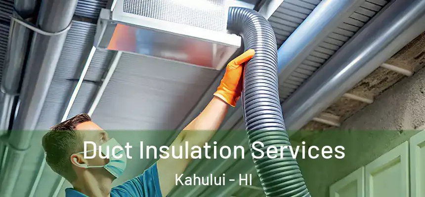 Duct Insulation Services Kahului - HI