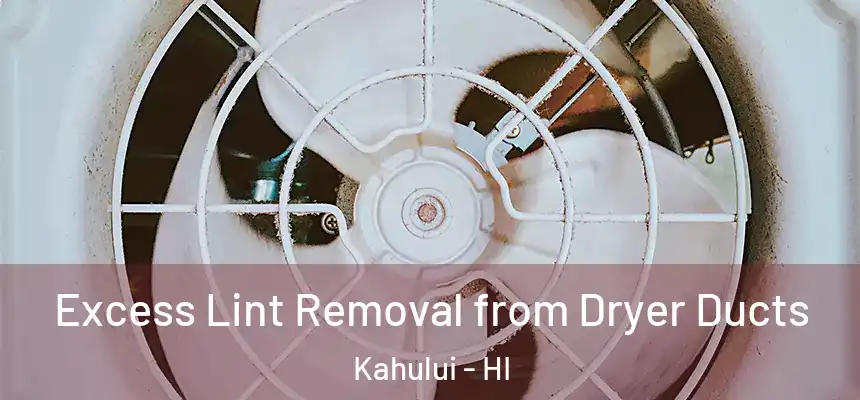 Excess Lint Removal from Dryer Ducts Kahului - HI