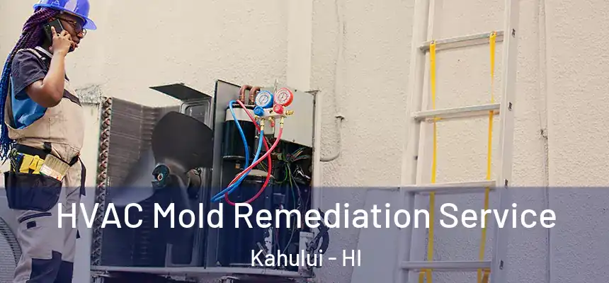 HVAC Mold Remediation Service Kahului - HI