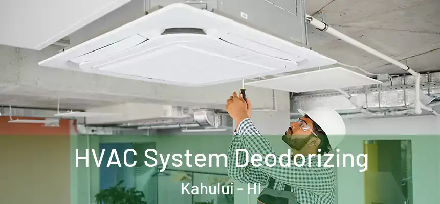 HVAC System Deodorizing Kahului - HI