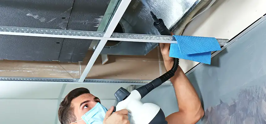 Our Air Duct Rodent Removal Services in Kahului, HI