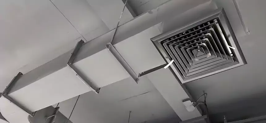 Restorative Allergy Relief Vent Cleaning – Coil, Blower & Housing Detail in Kahului