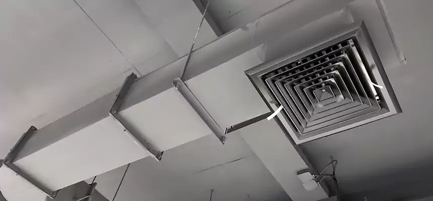 Our Pest Removal From Ducts Services in Kahului, HI