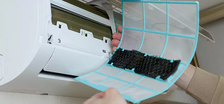 Gentle Ductwork Odor-Control Pet Dander Duct Cleaning in Kahului, HI