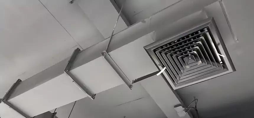 Our Rodent Droppings In Vents Services in Kahului, HI