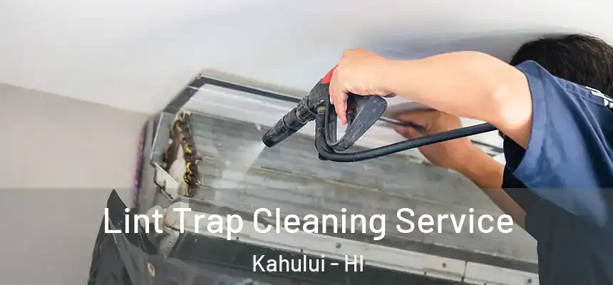  Lint Trap Cleaning Service Kahului - HI