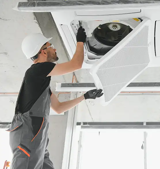 About Air Duct Rodent Removal in Kahului, HI