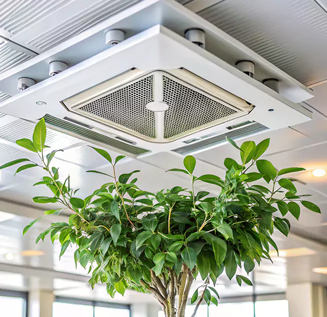 Why Homeowners & Businesses Trust Us in Kahului, HI?