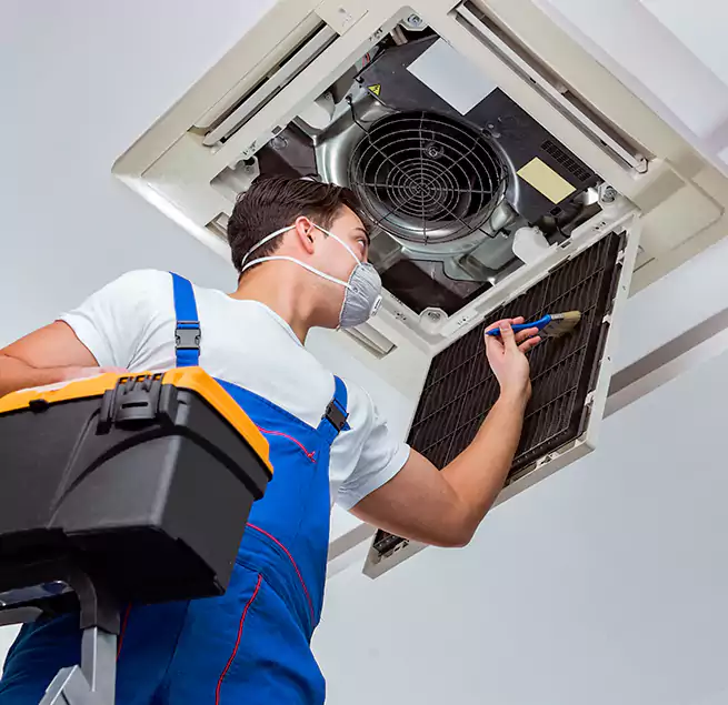 Why Homeowners & Businesses Trust Us in Kahului, HI?