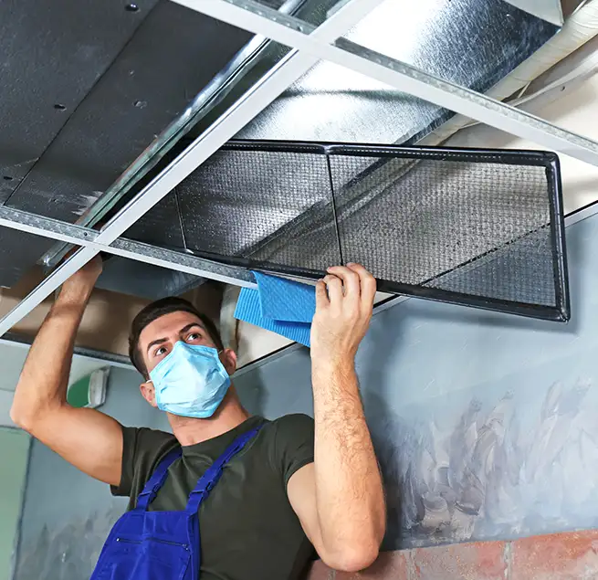 Why Homeowners & Businesses Trust Us in Kahului, HI?