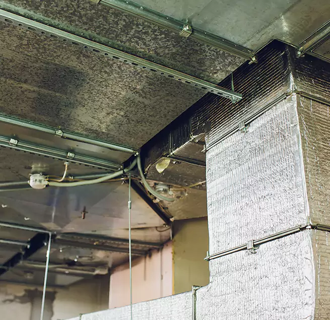 Why Homeowners & Businesses Trust Us in Kahului, HI?