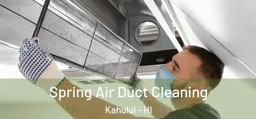 Spring Air Duct Cleaning Kahului - HI