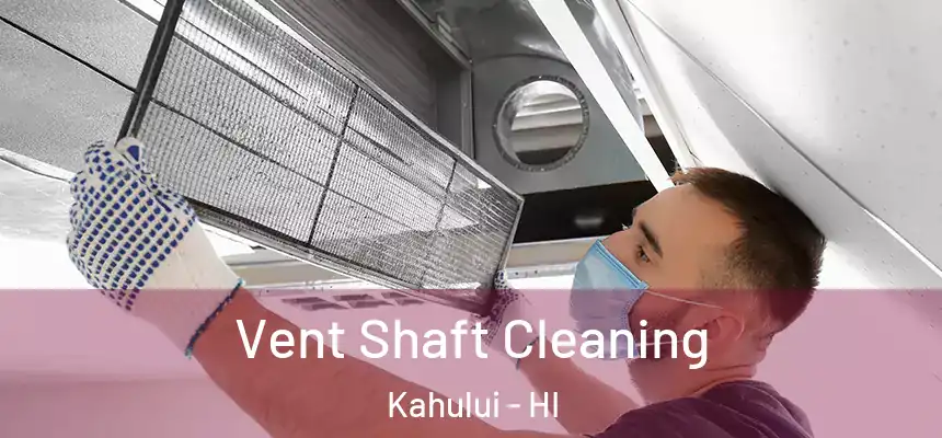  Vent Shaft Cleaning Kahului - HI